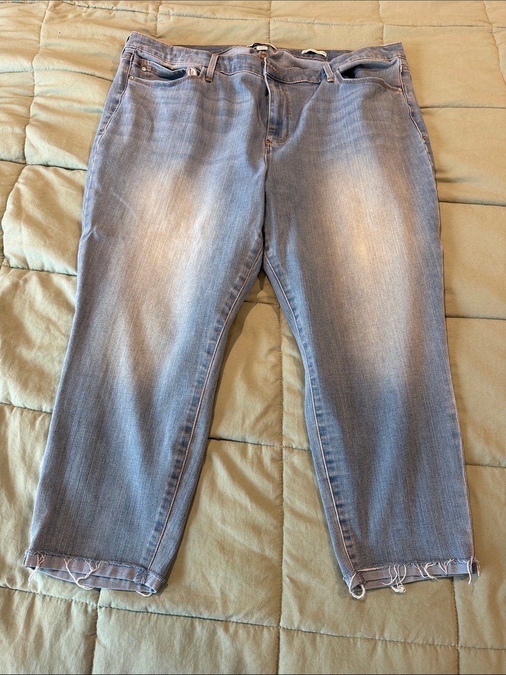 Skinnygirl Jeans Light Blue Washed 22W